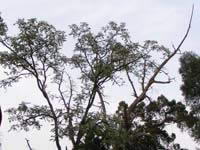 齐家堰沃野风景区