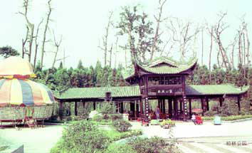 张氏祠堂与古柏林