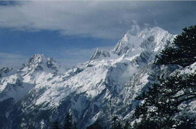 玉龙雪山牦牛坪