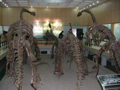 禄丰恐龙博物馆