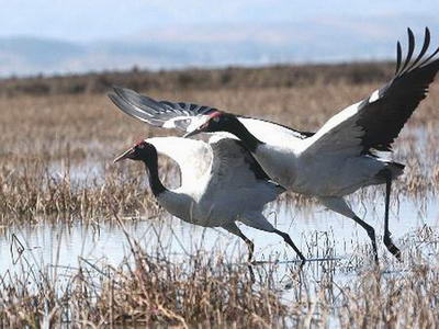 申扎自然保护区