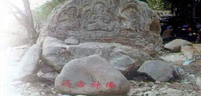 公众村古生态园