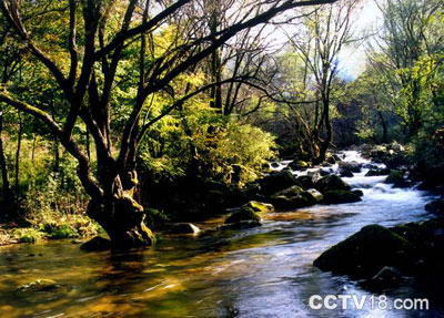 嘉陵江源头景区