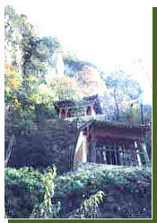 龙门洞森林公园