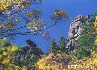 通天河国家森林公园