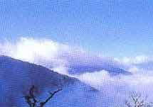 太平山森林游乐区