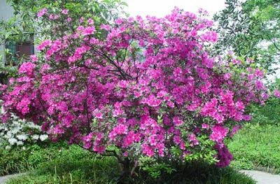 缙云山国家级自然保护区