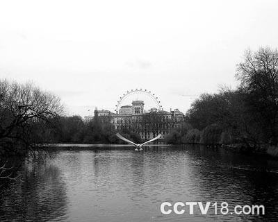 圣詹姆斯公园（St. Jamess Park）