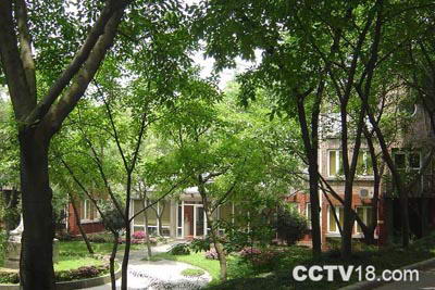 美术馆区(Museumsufer)