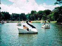 圣保罗森林公园