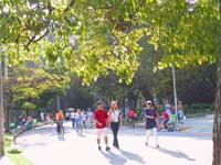 伊比拉布耶拉公园