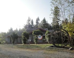 袁家界中天国际青年旅舍