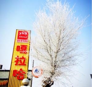 吉林雾凇岛嘎拉哈国际青年旅舍