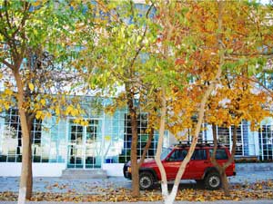 敦煌国际青年旅舍