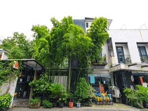 杭州岚水国际青年旅舍