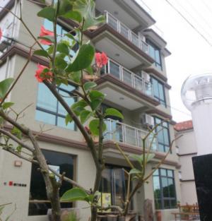 普陀泥巴国际青年旅舍