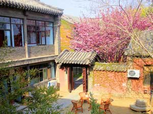 泰山红门国际青年旅舍