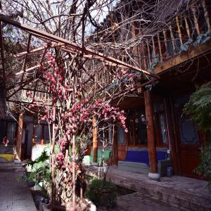 丽江古城国际青年旅舍