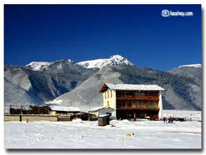 香格里拉老谢车马店国际青年旅舍