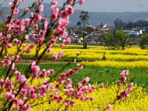 腾冲和顺国际青年旅舍