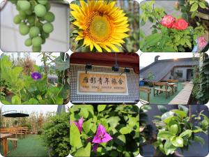 西安雁影国际青年旅舍