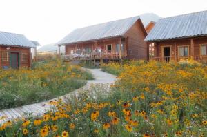 新疆禾木阿哈国际青年旅舍