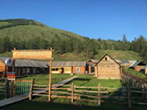 喀纳斯泰加国际青年旅舍