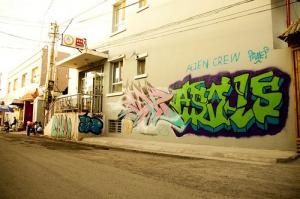 新疆伊栈国际青年旅舍