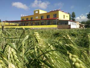 卓尔山国际青年旅舍