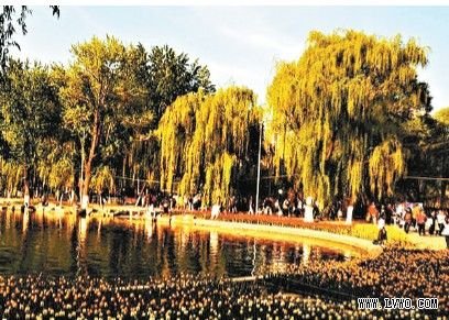 第7位西宁市：昆仑夏都