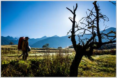鲁朗的清晨，阳光温和