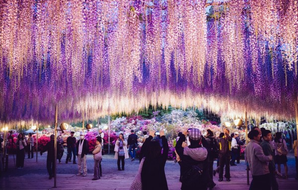 2015年最让人感动的20个旅行瞬间 你记住了几个？