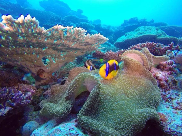 2016年全球最佳旅行目的地排名TOP10