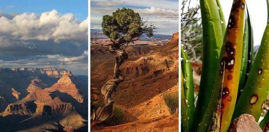 全球19条恶魔路老驴友都不敢尝试的可怕原因(图)