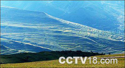 空中草原风景图