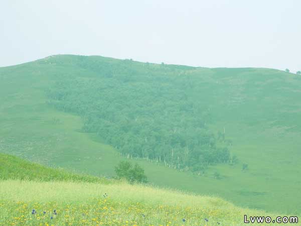 木兰围场坝上草原