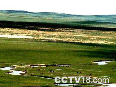 内蒙古希拉穆仁草原旅游中心风景图