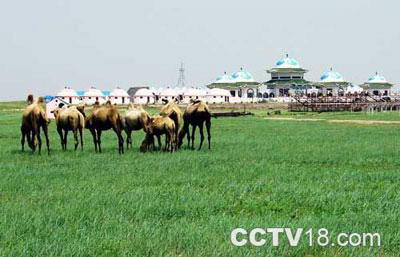 珠日河草原旅游区风景图