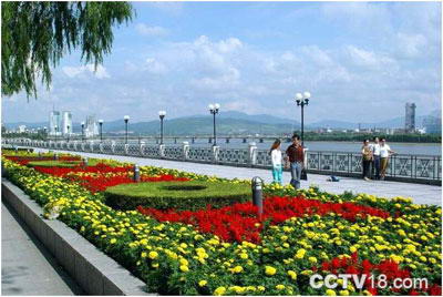 松江中路风景图