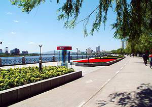 松江中路风景图