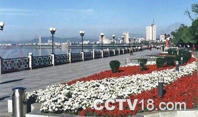 松江中路风景图