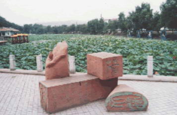 北山公园风景图