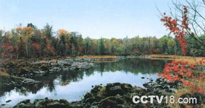 龙潭山公园风景图