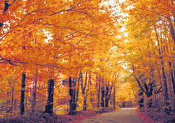 龙潭山公园风景图