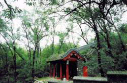 龙潭山公园风景图