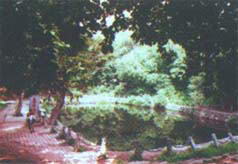 龙潭山公园风景图