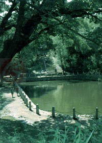 龙潭山公园风景图