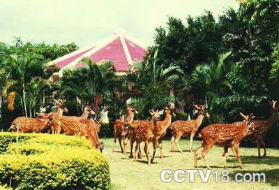 龙潭山鹿场风景图