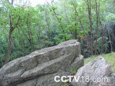 舒兰森林公园风景图