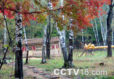 拉法山国家公园风景图